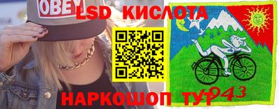 крисы Донской